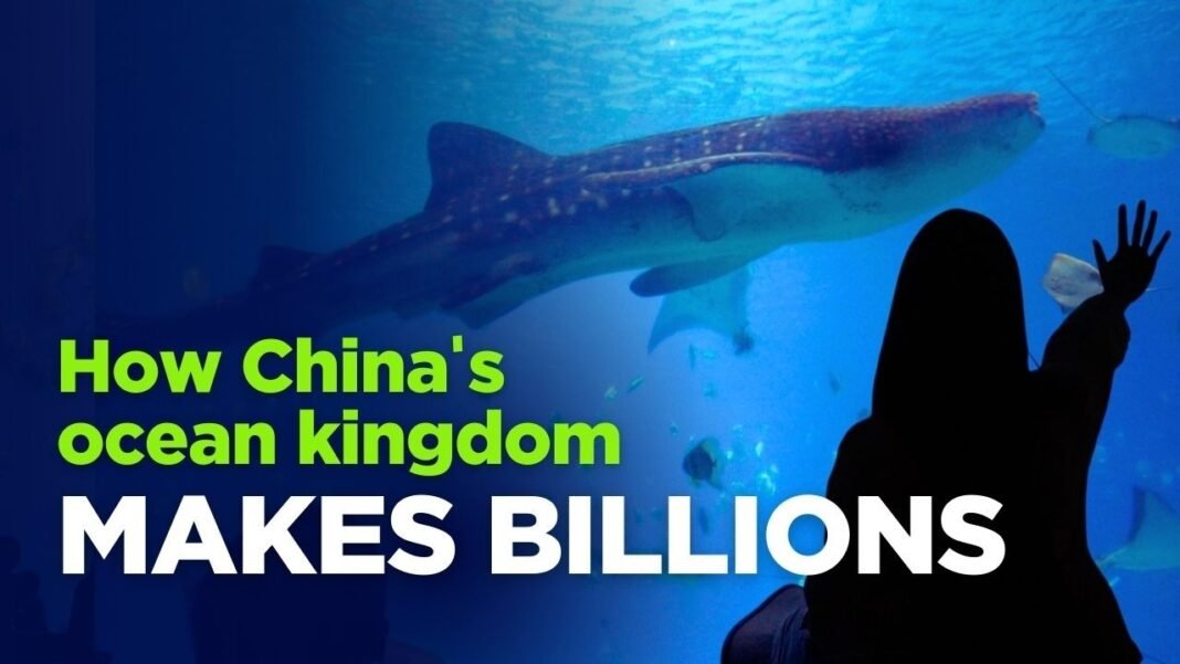 How China’s ocean kingdom makes billions